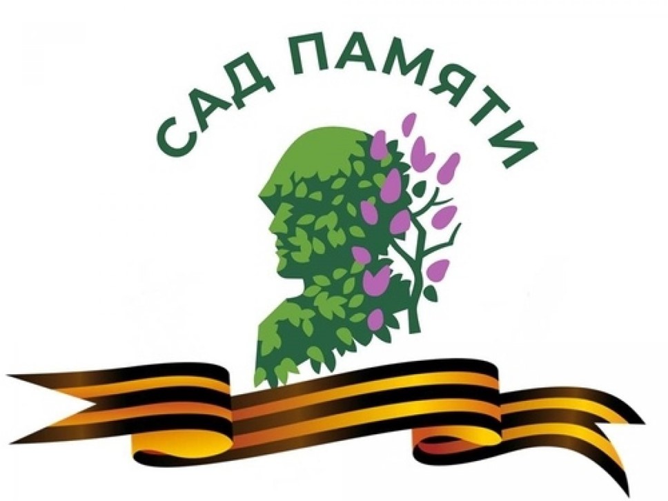 2428686ksz.jpg